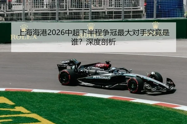 shang-hai-hai-gang-zhong-chao-xia-ban-cheng-zheng-guan-zui-da-dui-shou-jiu-jing-shi-shui-shen-du-pou-xi-2-609.jpg